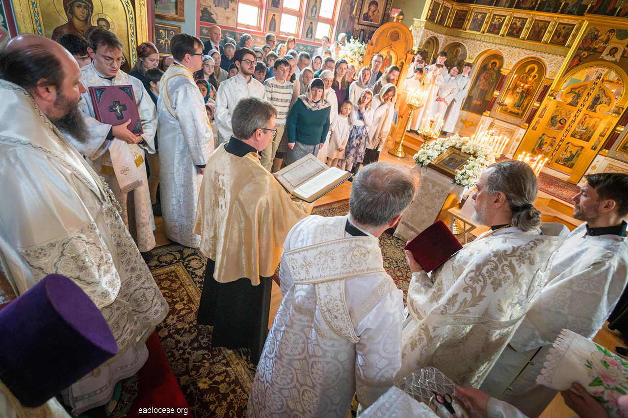 17-January-25-2026-100831