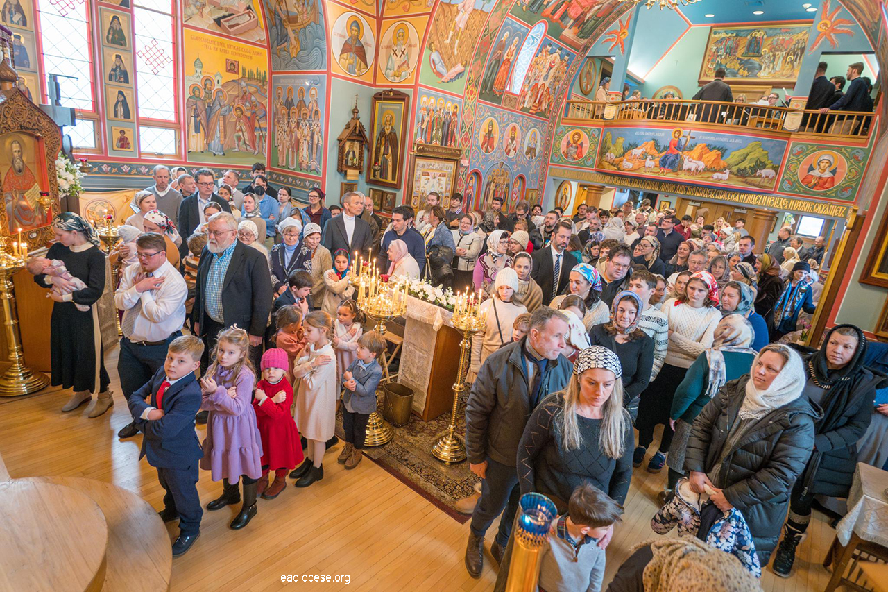 53-January-25-2026-121649