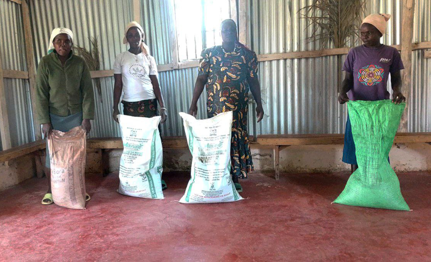 photo_5278393783655536701_y